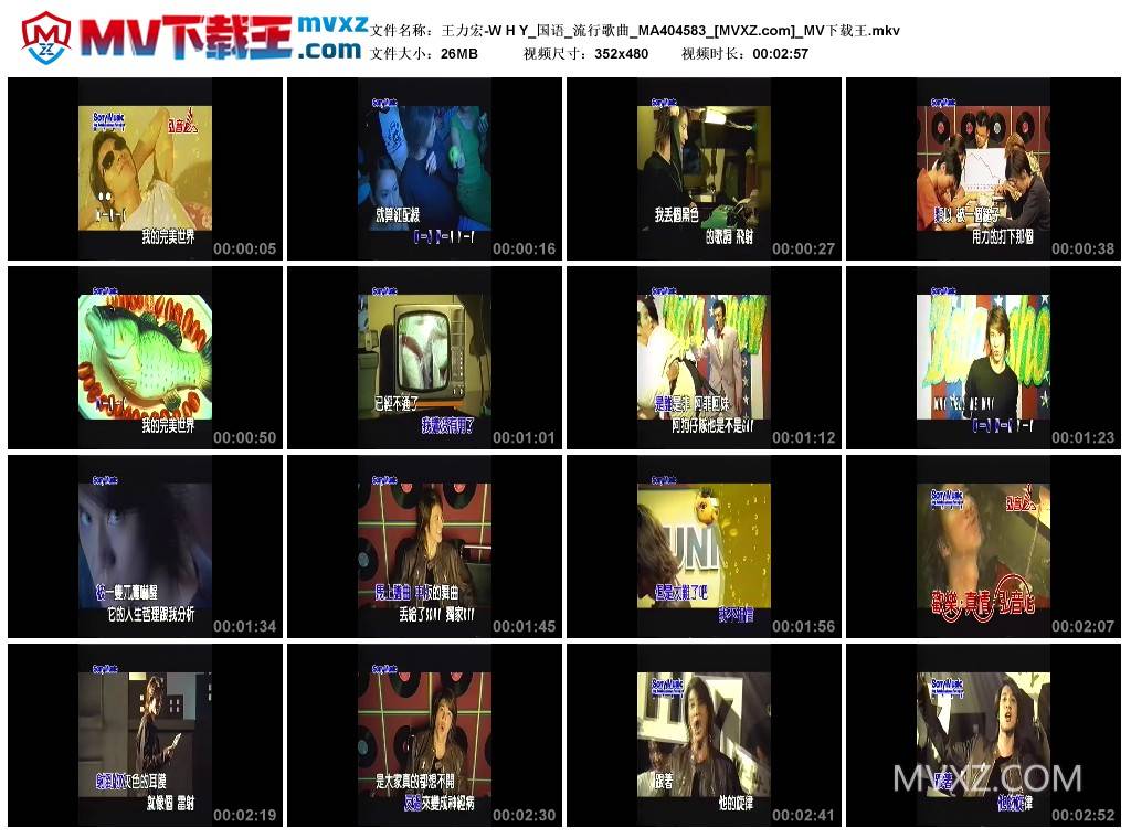 王力宏-W H Y_国语_流行歌曲_MA404583